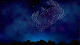 Yengeç Burcu 2025 Yılı Aşk ve Kariyer Öngörüleri