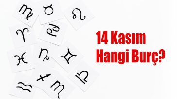 14 Kasım Hangi Burç? 14 Kasım Burcu Özellikleri ve Yorumu